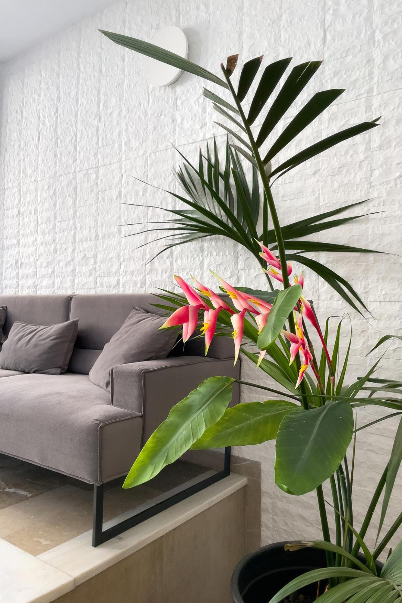 Aonia Luxurious Modern Boutique Apartments Chalkida Luaran gambar